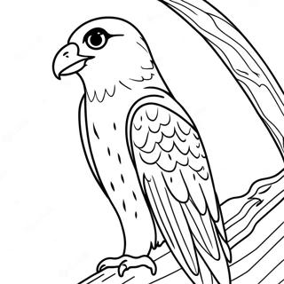 Peregrine Haukka Varityssivu 13778-11415