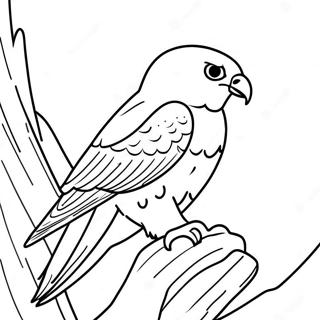 Peregrine Haukka Varityssivu 13778-11416