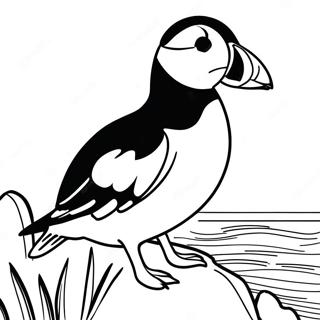 Puffin Rock Varittamissivu 16652-14023