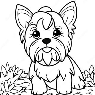 Yorkie Varityssivu 18155-15208