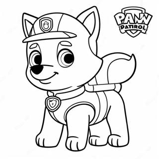 Ryder Paw Patrol Varittamissivu 20100-18711