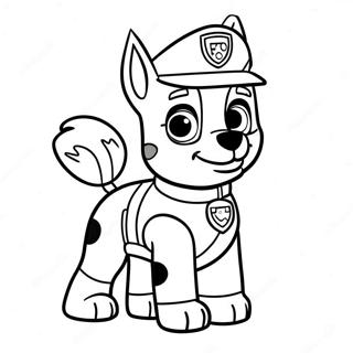 Rocky Paw Patrol Varityssivu 20782-19239