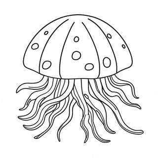 Meduusa Varityssivu 2201-1804