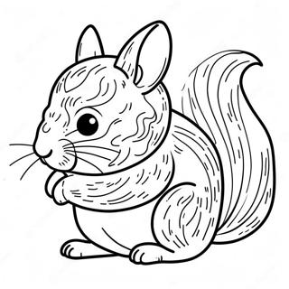 Chinchilla Varittamissivu 23803-21952