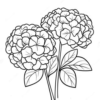 Kaunis Hortensia Kimppu Varityssivu 36184-30181