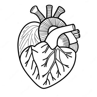 Sydamen Anatomia Varityssivu 3950-3194