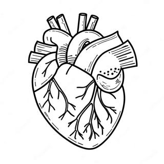 Sydamen Anatomia Varityssivu 3950-3195