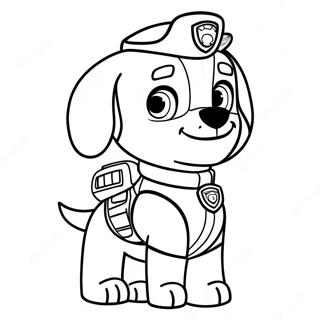 Paw Patrol Zuma Varittamissivu 40437-33518