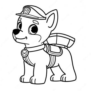 Paw Patrol Zuma Varittamissivu 40437-33519