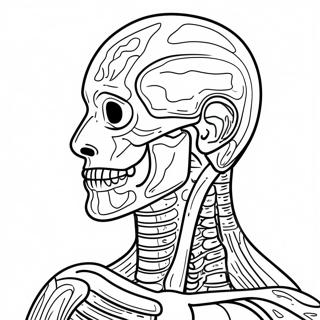 Ihmisen Anatomia Varityssivu 41399-34354