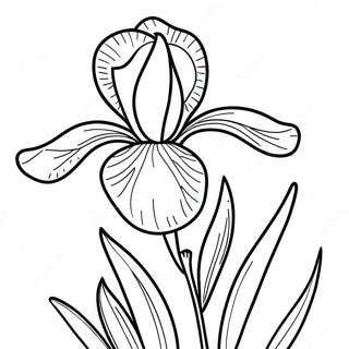 Kaunis Iris Kukka Varityssivu 52607-43758