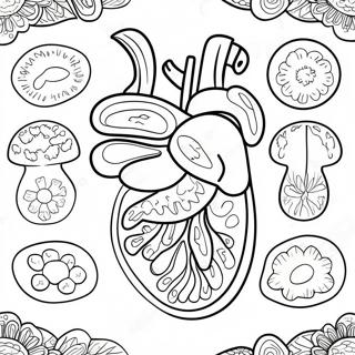 Varikkaat Ruoansulatuselimet Varityssivu 53639 44716