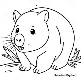 Wombat Varityssivu 56381-46872