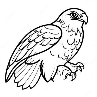 Majesteettinen Falcon Lennossa Varityskuva 67233-55487