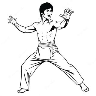 Bruce Lee Ikoninen Potku Varittamissivu 69334-57145