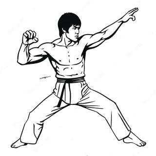 Bruce Lee Ikoninen Potku Varittamissivu 69334-57148