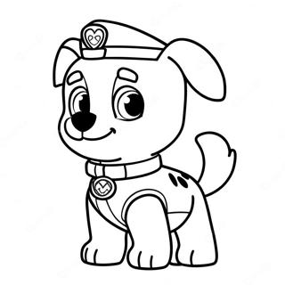 Skye Paw Patrol Varityssivu 69873-57782