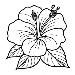 Hibiskus Kukka Varityssivu 7044-5729