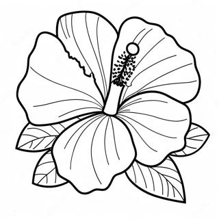 Hibiskus Kukka Varityssivu 7044-5730