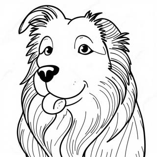 Collie Koira Varityssivu 72073-59543