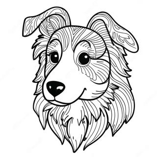 Collie Koira Varityssivu 72073-59544
