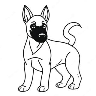 Belgian Malinois Värityskuvat